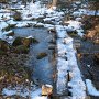 More icy puddle.