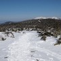 Views from the summit of south Kinsman.