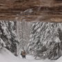 Views below the tree trunk.