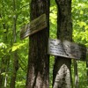 Up Big Rock Cave Trail and down via Cabin Trail. A nice 8.1 miles loop.