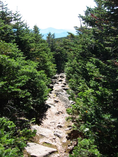 155-5586_IMG.jpg