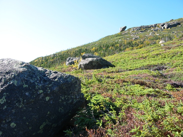 155-5561_IMG.jpg