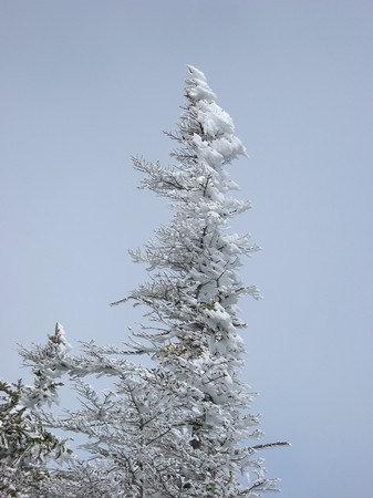 142-4269_IMG.jpg