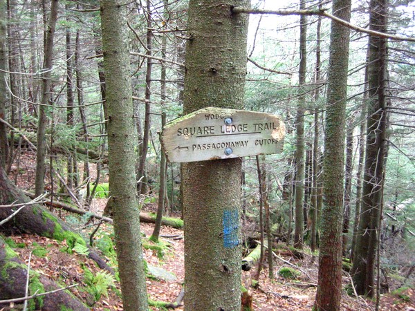 142-4236_IMG.jpg
