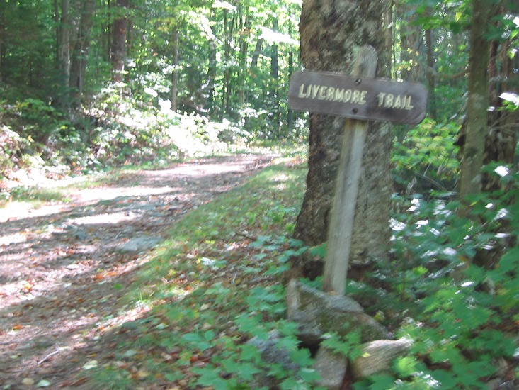 156-5682_IMG.jpg