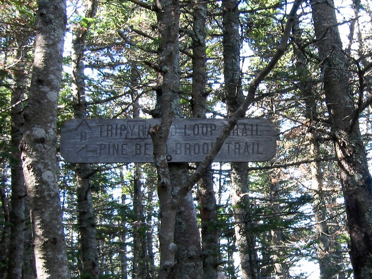 157-5740_IMG_2.jpg