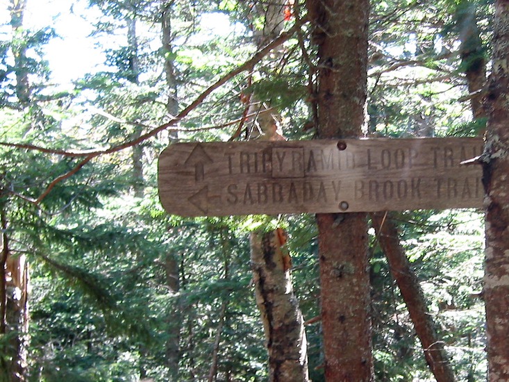 157-5743_IMG_2.jpg