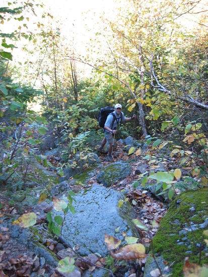 156-5697_IMG.jpg